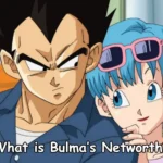 Networth-of-Bulma-in-Dragonball