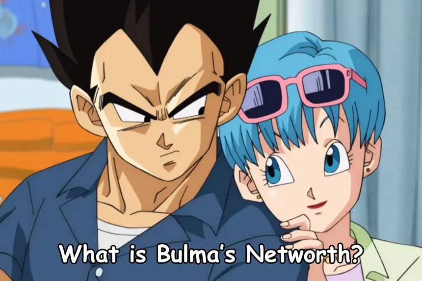 What is the Networth of Bulma in Dragonball? 21 Networth-of-Bulma-in-Dragonball