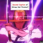 Roronoa Zoro One Piece