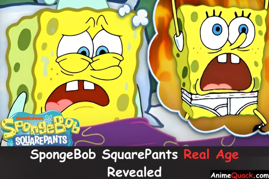 How old is Spongebob Squarepants? 21 How old is Spongebob Squarepants?