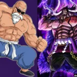 Can Master Roshi defeat Kaido?