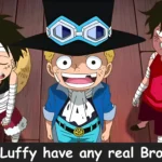 Does Luffy have Brothers? 23 Does Luffy have Brothers?